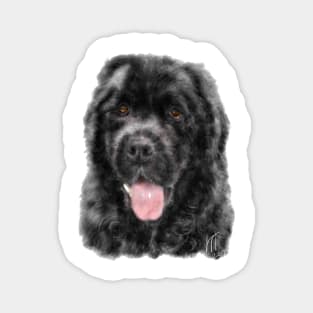 A custom hand painted digital image of a Smiling Black Newfoundland Dog Magnet