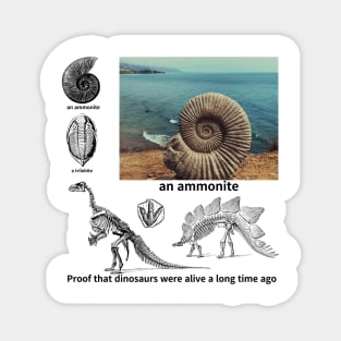 fossil, Proof that dinosaurs were alive a long time ago, dinosaur, an ammonite, a trilobite Magnet