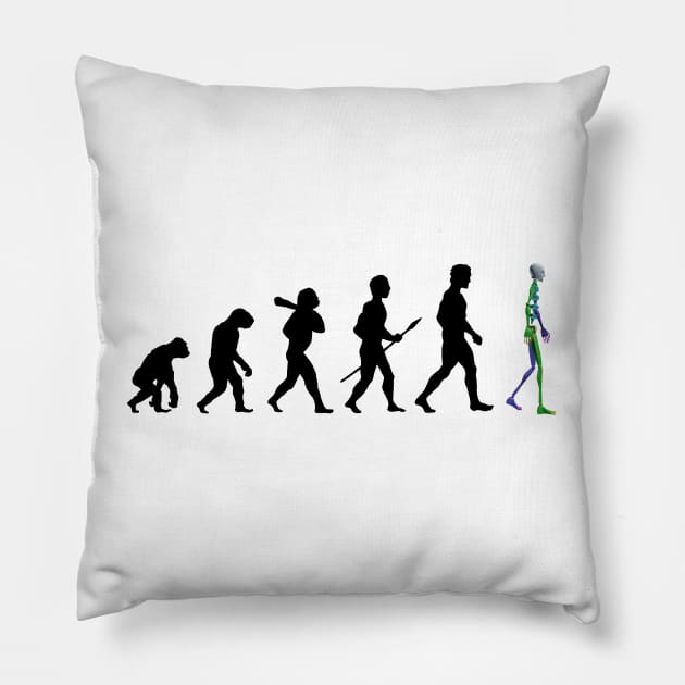 Evolution 3D Pillow by CCDesign