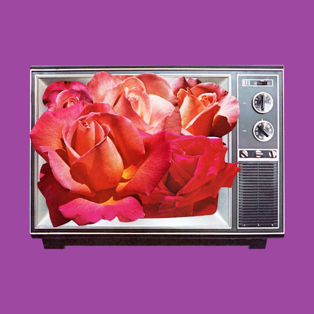 Retro TV with Rose Bouquet Collage by studiogooz