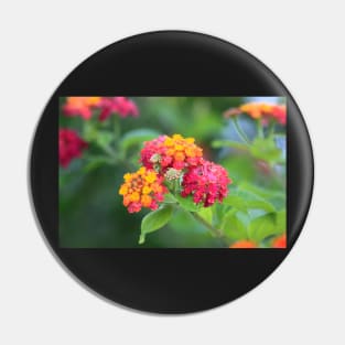 flowers III. summer Pin