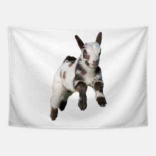 Bouncing Baby Goat 2 Tapestry