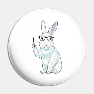 Rabbit Teacher Pointer Pin