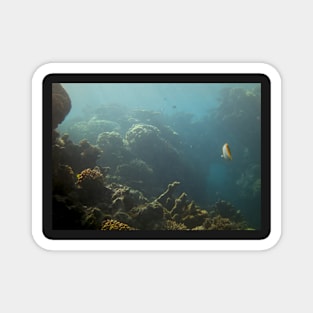 Underwater View Magnet