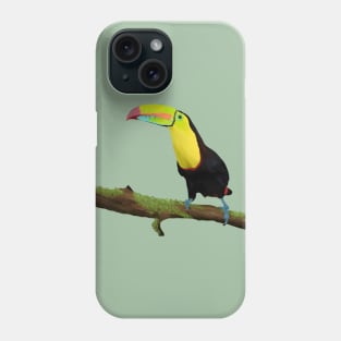 Colorful Toucan Bird Phone Case