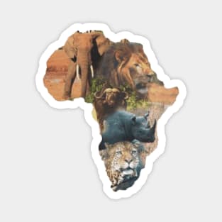 Big 5 Africa Magnet