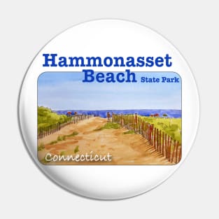 Hammonasset Beach State Park, Connecticut Pin