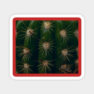 Red cactus Magnet