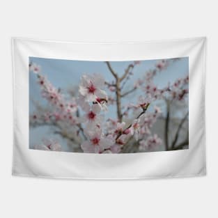 Bee in Almond Flower Tapestry