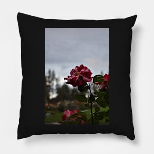 Flower Pillow