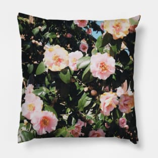 Flowers 3 Pillow