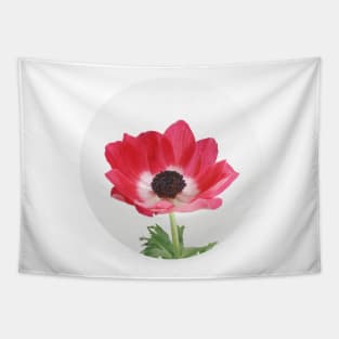 Red Anemone Tapestry