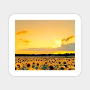 sun set Tapestry Magnet