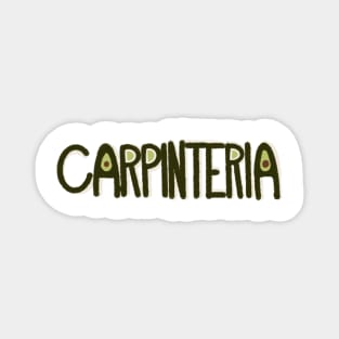 Green Carpinteria Avocado Magnet