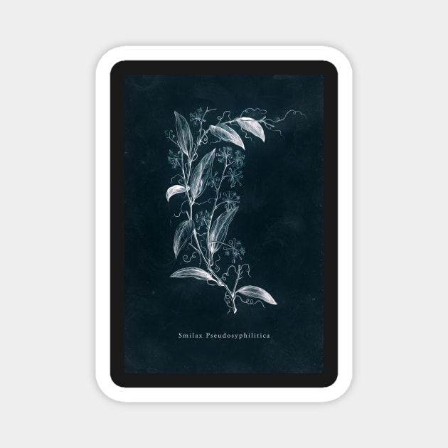 Cyanotype - Smilax Pseudosyphilitica Magnet by PixelHunter