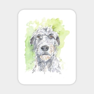 Irish Wolfhound watercolour pen drawing Magnet