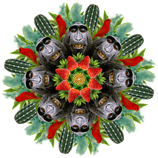 monkey business mandala Magnet