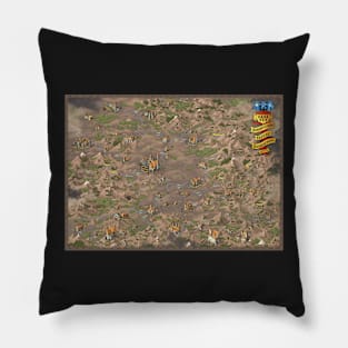 Transylvania fantasy map Pillow