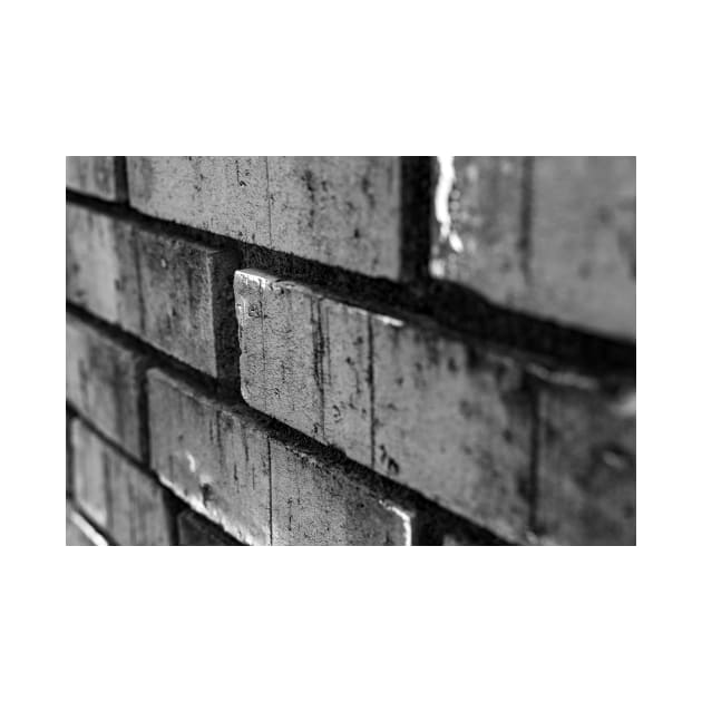 Bricks in a wall by Ckauzmann