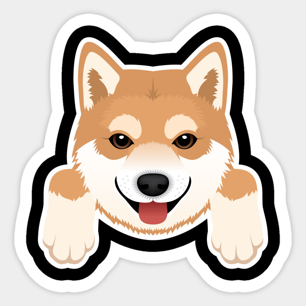 Cute Shiba Inu Puppy Dog