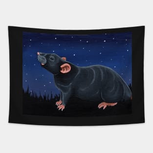 Grey Rat Stargazing Tapestry