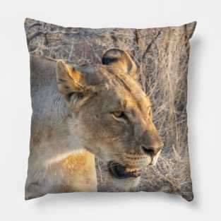 Namibia. Etosha National Park. Queen Lioness. Pillow