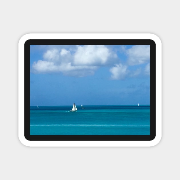 White Sailboat in Antigua Magnet by ephotocard