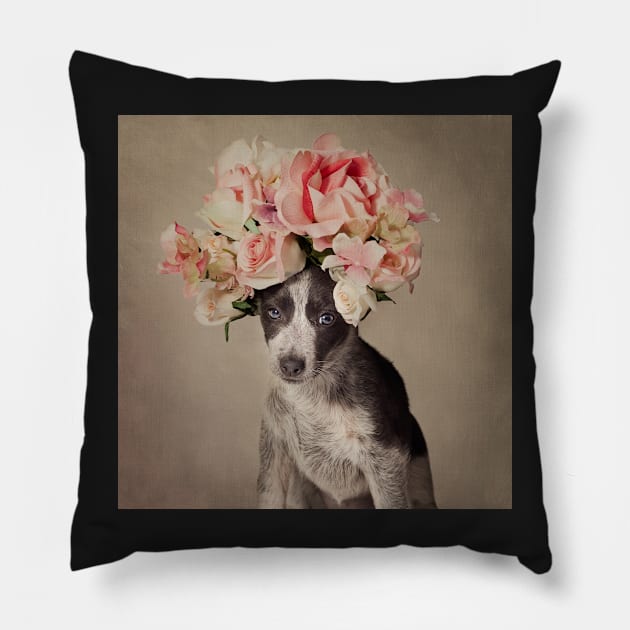 Shelter Pets Project - Opal Pillow by TammySwarek