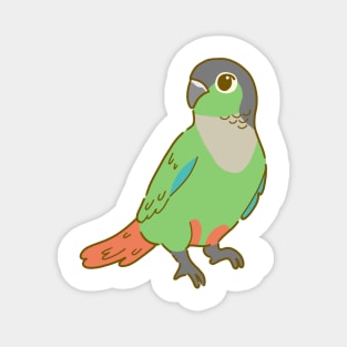 Green Cheek Conure Magnet