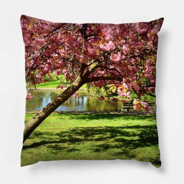 An English Landscaped Park in Spring Pillow by JonDelorme