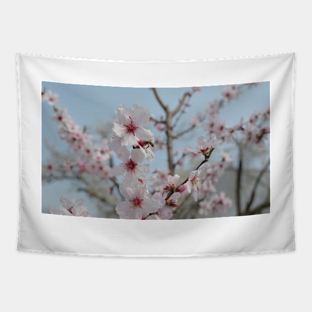 Bee in Almond Flower Tapestry by jojobob