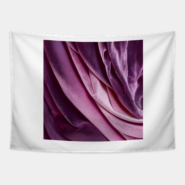 Secret amethyst velvet Tapestry by marbleco