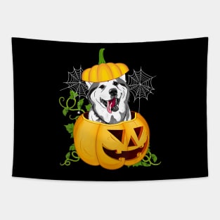Funny Cute Pumpkin Halloween Dog Witch Pumpkin Husky Dog Tapestry