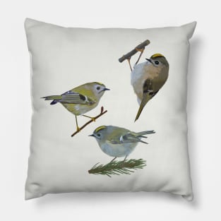 Kinglets Pillow