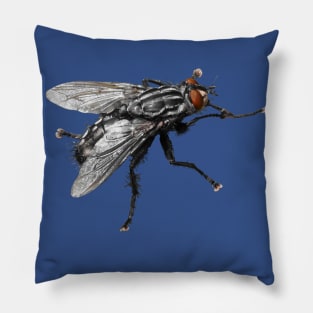 Pretty Giant black Fly with Bristles Pillow