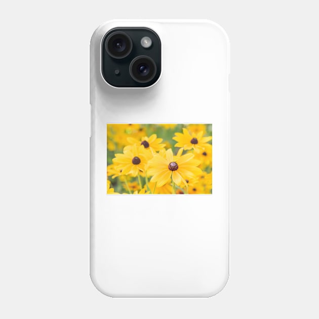 Black-Eyed Susan Yellow Daisy Flowers Phone Case by Amy-K-Mitchell