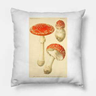 Amanita muscaria - Dufour, L Pillow