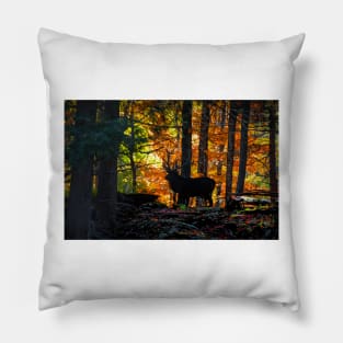 Bull elk silhouette in the autumn woods Pillow