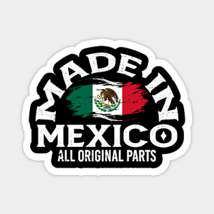 Born in Mexico Magnet