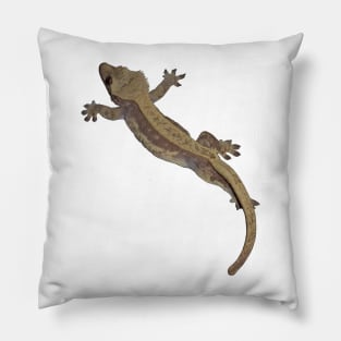 crested gecko Pillow