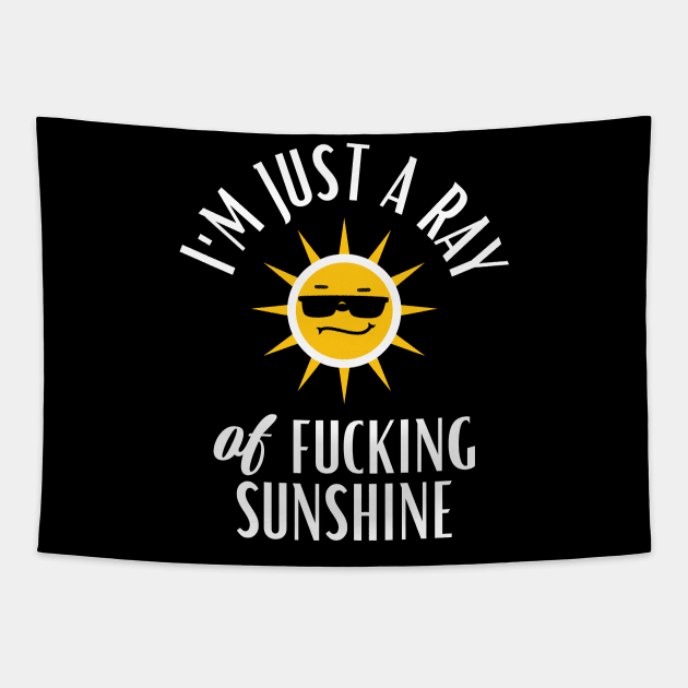 I'm Just a Ray of Fucking Sunshine Funny Sarcastic Tapestry by mstory