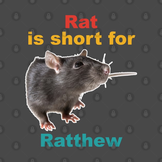 Rat Is Short For Ratthew by davidwhite