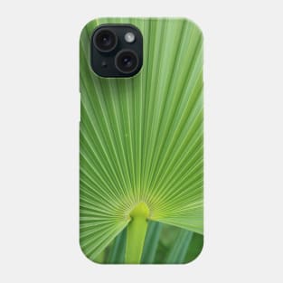 Palm Leaf Phone Case