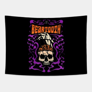 beartooth Tapestry