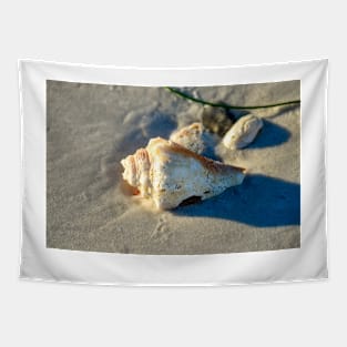 Large Shell on Beach Tapestry