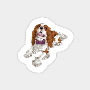 Cavalier King Charles Spaniel - Smiling Blenheim Magnet