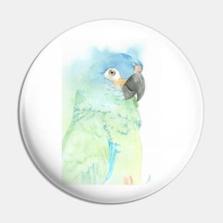 blue-winged macaw parrot portrait watercolor painting tropical pet Pin