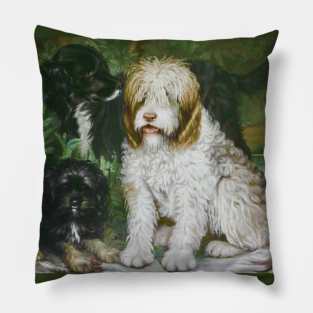 Three Dogs by Coralie Ferey Pillow