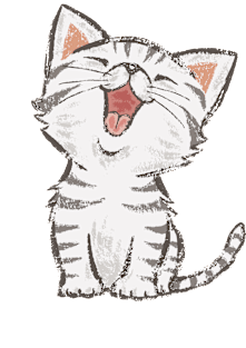 American Shorthair happy cat Magnet