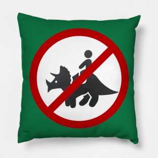 No dino rides! Pillow